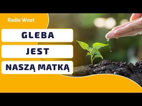 Degradacja gleby w Polsce! Za 20 lat zostaniemy bez rolnictwa l Studio Ostoja
