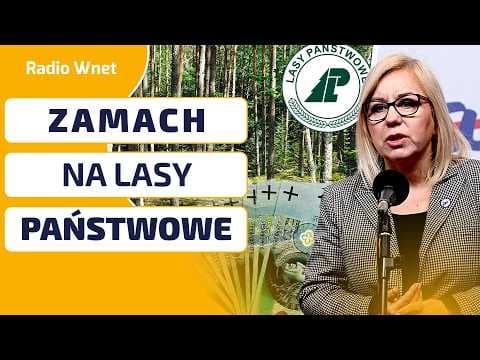 ZAMACH NA LASY PAŃSTWOWE! "Działanie rząd ma doprowadzić do UPADKU ekonomicznego Lasów Państwowych"