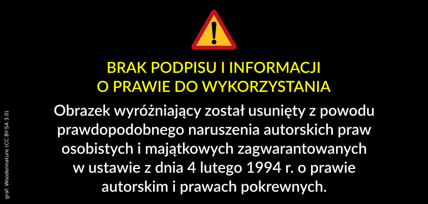 Przed wyborami nie umawialiśmy się na zamykanie żadnych kopalń – podkreślił przewodniczący górniczej „S” Dominik Kolorz