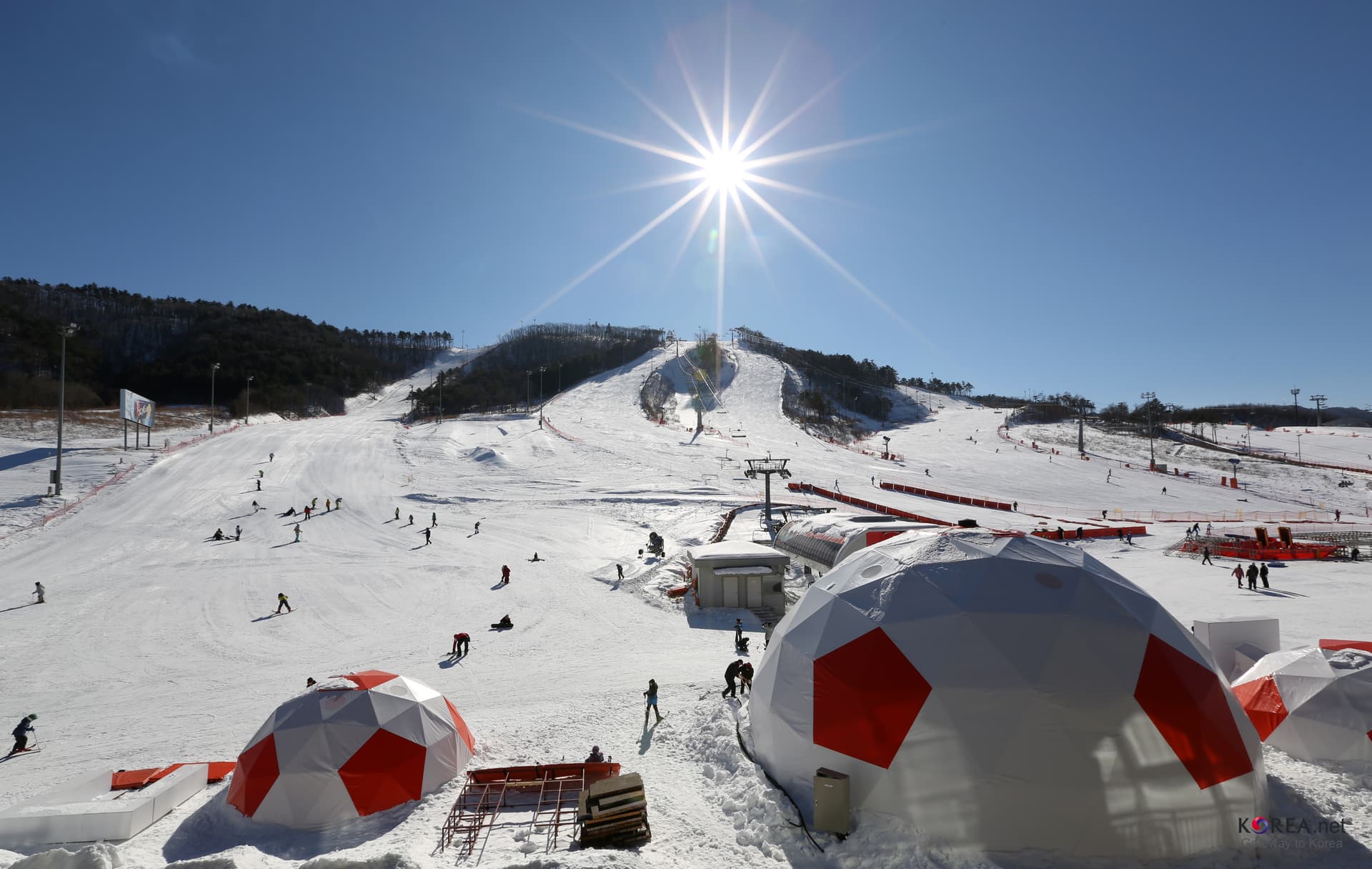 Sporty zimowe nigdy nie były polską domeną. Lepiej jest od czasów Małysza, doszła Justyna Kowalczyk, teraz Stoch