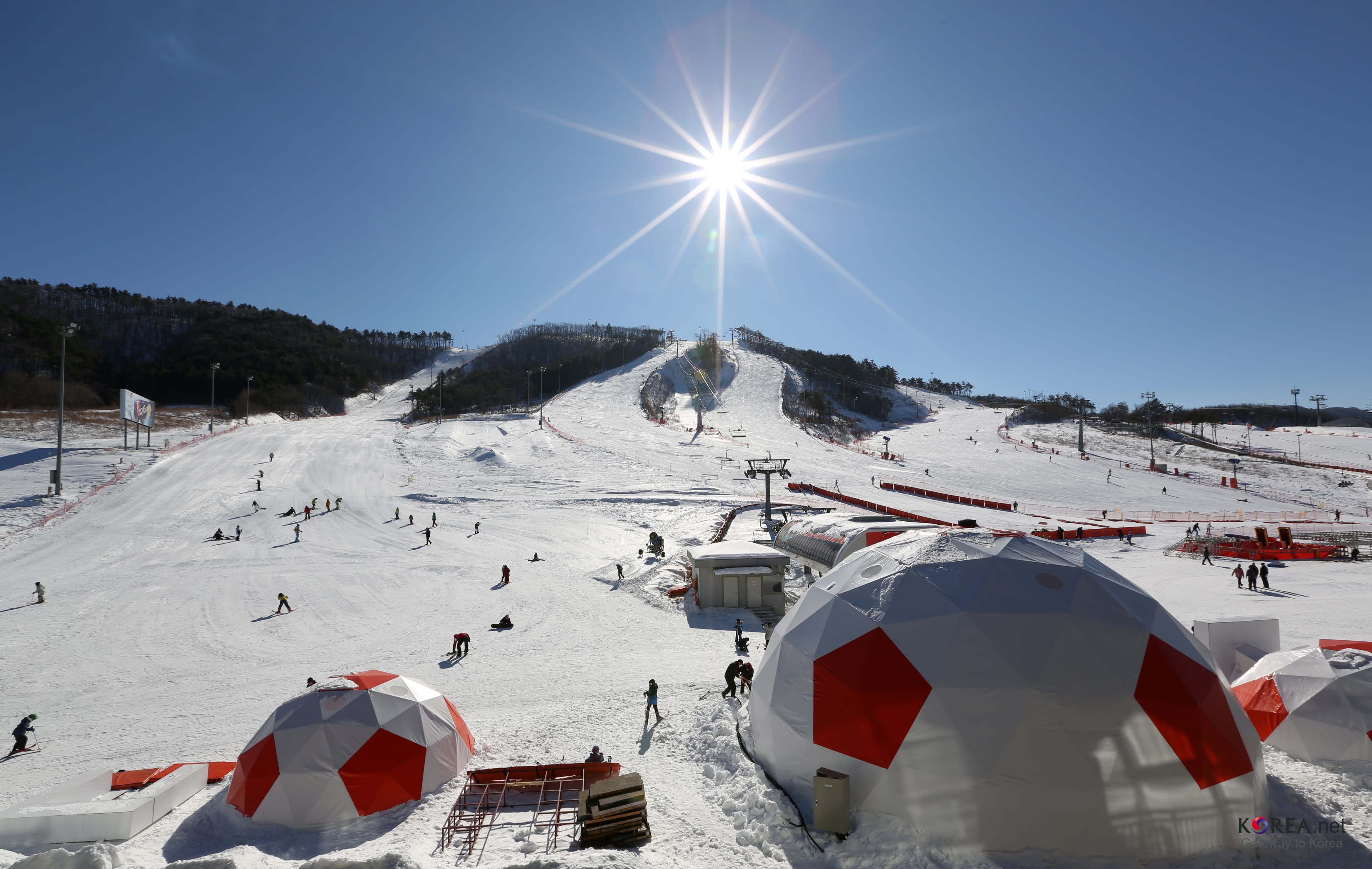 Sporty zimowe nigdy nie były polską domeną. Lepiej jest od czasów Małysza, doszła Justyna Kowalczyk, teraz Stoch