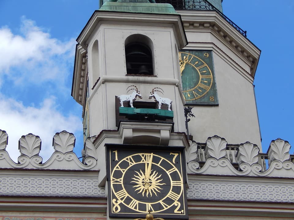 Kozioł Kozłowi nie równy i premiera we Wrocławiu – Tygodniowy Kalejdoskop Kulturalny – 25.11.2023 r.