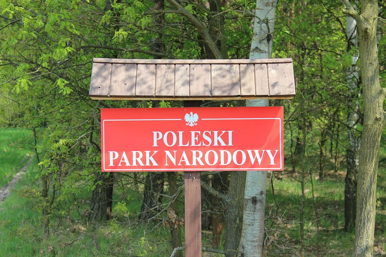 Iwaniuk: Polesie – wielka kraina bogata we wszystkie formy ochrony przyrody