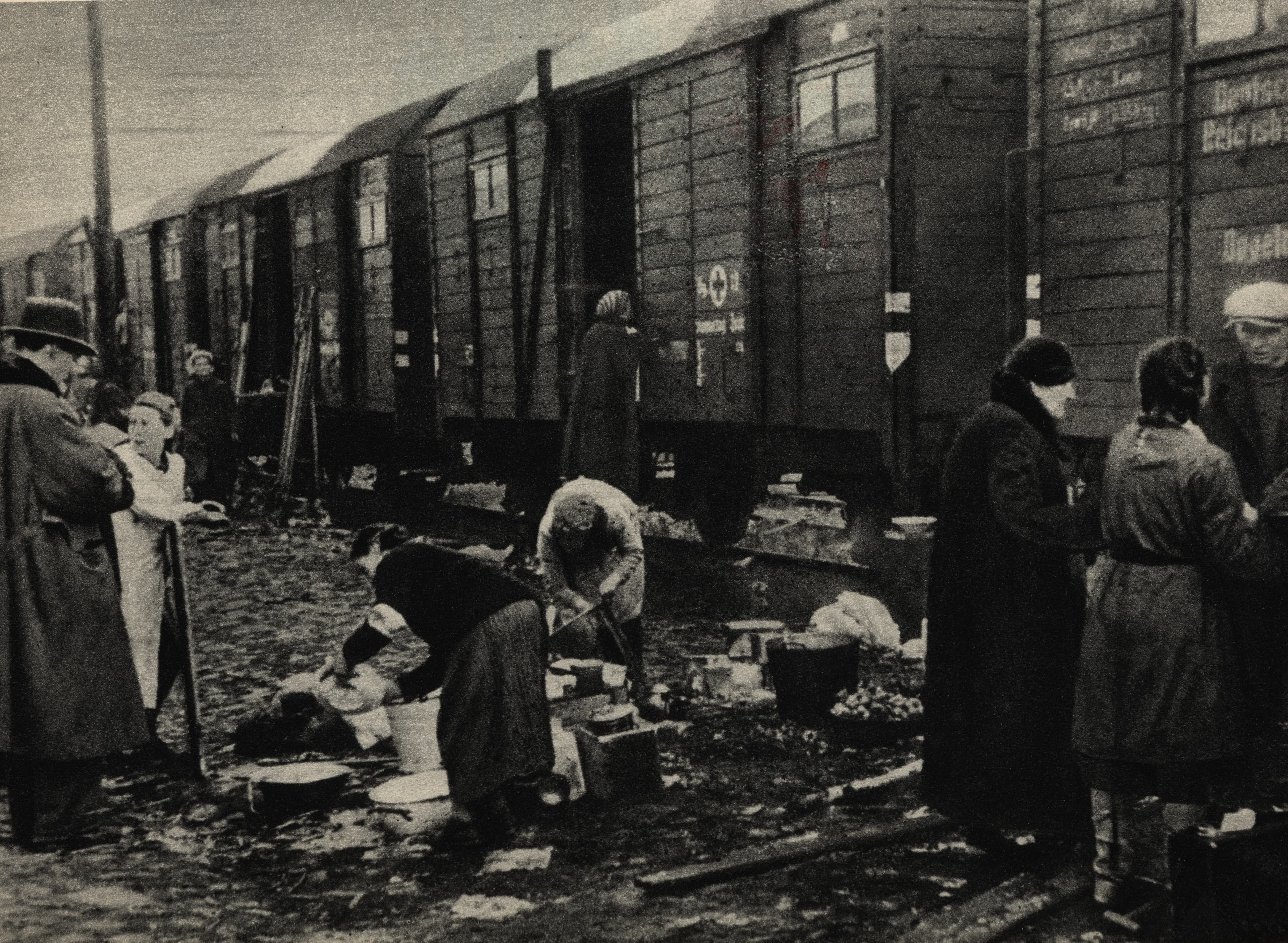 Relacja Danuty Charkiewicz-Topolskiej, świadka powstania warszawskiego, z Muzeum Dulag 121 w Pruszkowie
