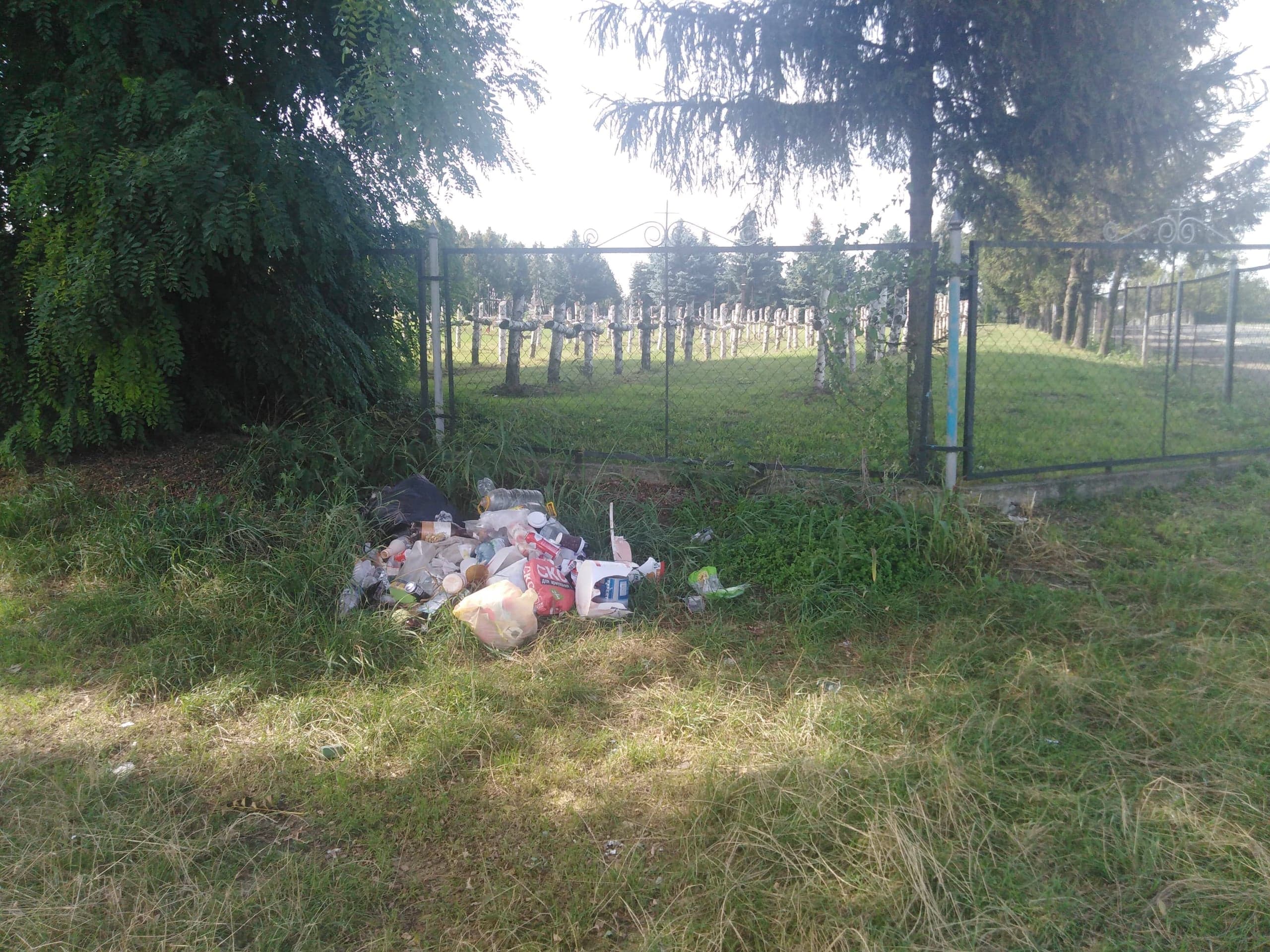 Śpij kolego w ciemnym grobie, niech się Polska przyśni Tobie. Refleksje sojusznicze polsko – ukraińskie. Korespondencja.