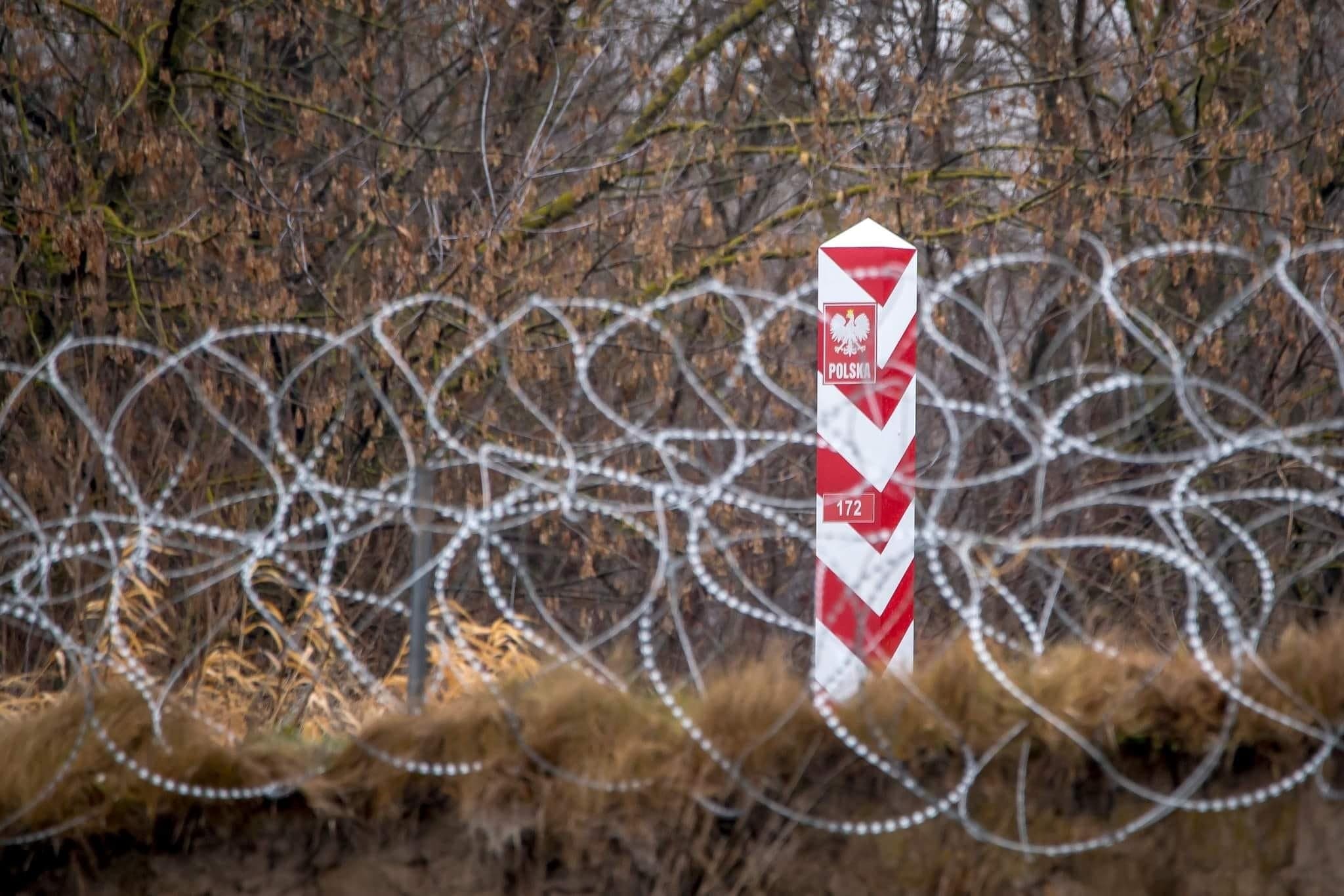Mieszkaniec Białowieży: w Puszczy Białowieskiej dużo łatwiej spotkać żubra niż migranta