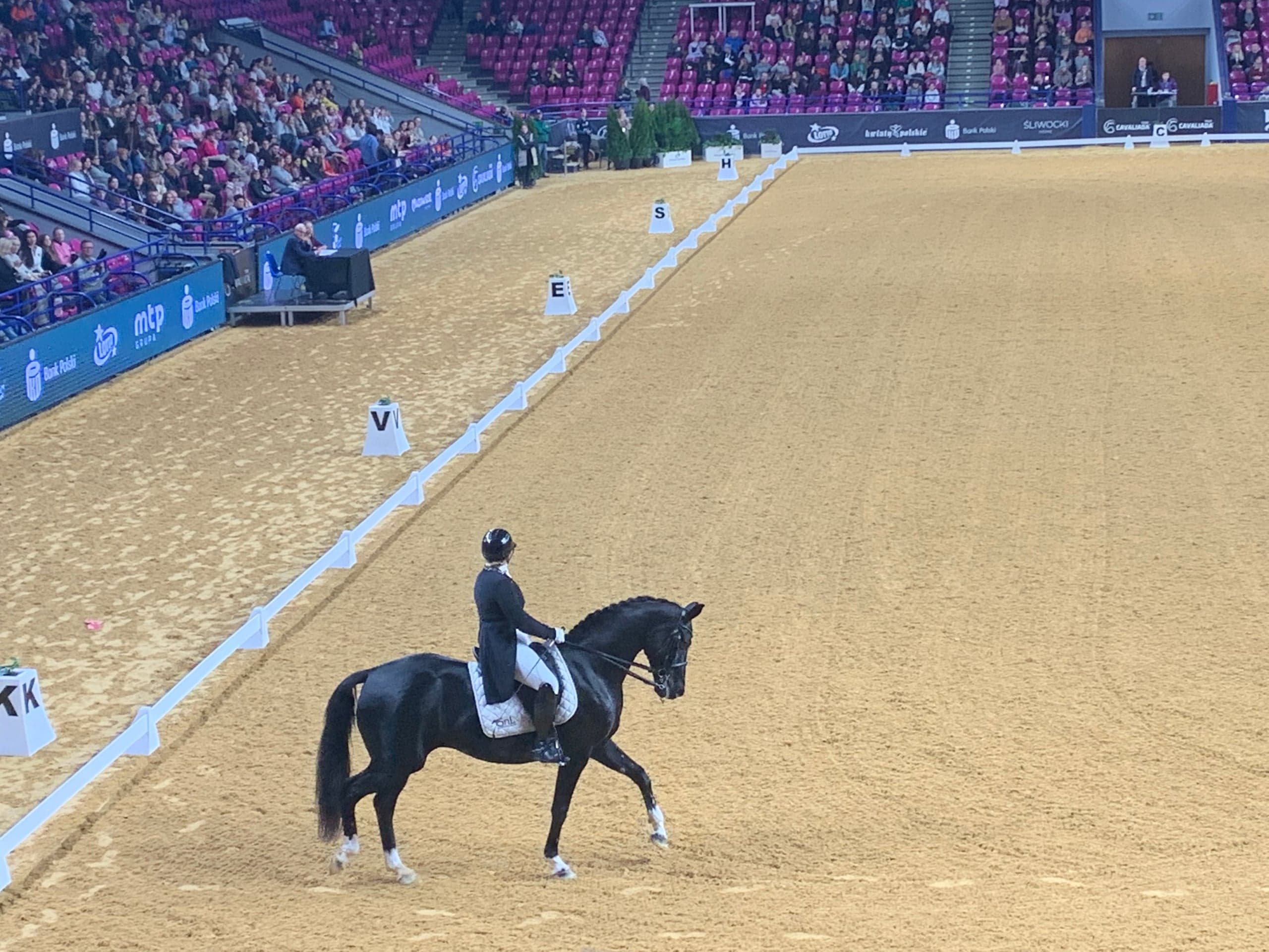 Porozmawiajmy o sporcie – warszawska Cavaliada i mundialowa historia – 13.11.2022 r.
