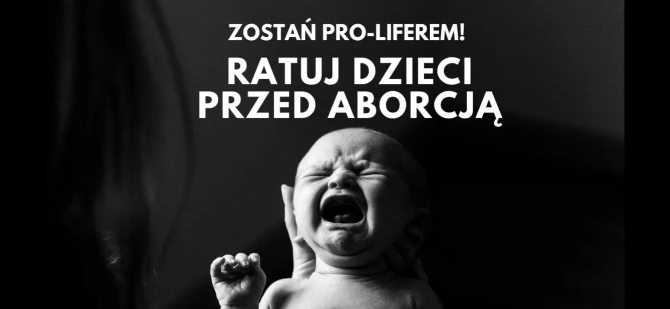 Miś – moment: Poczęcie i synteza: Narodzenie – 08.12.2022 r.