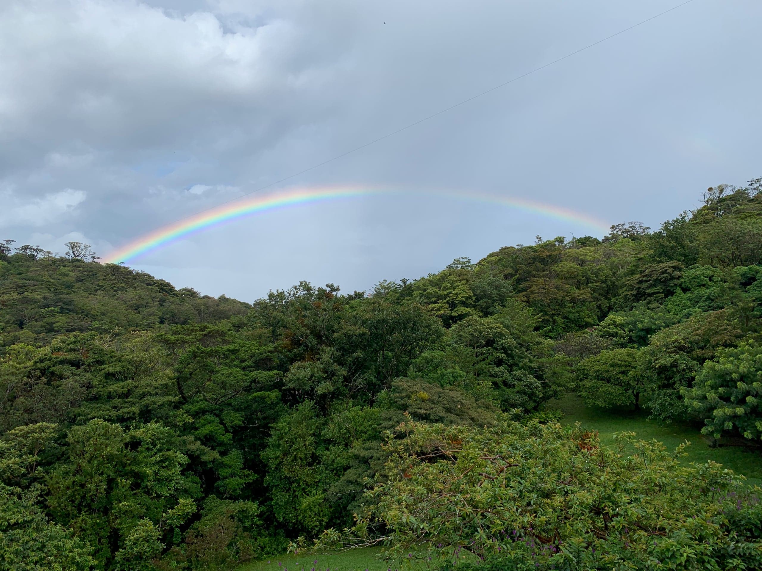 Pura Vida! Odkrywamy Kostarykę / Descrubrimos Costa Rica