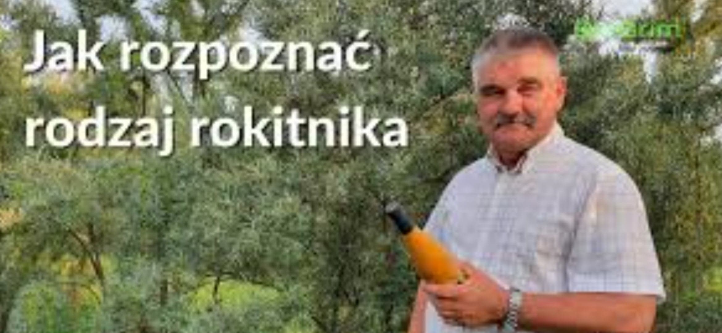 MiŚ – mix rokitnika i szparagów – 20.06.2024 r.