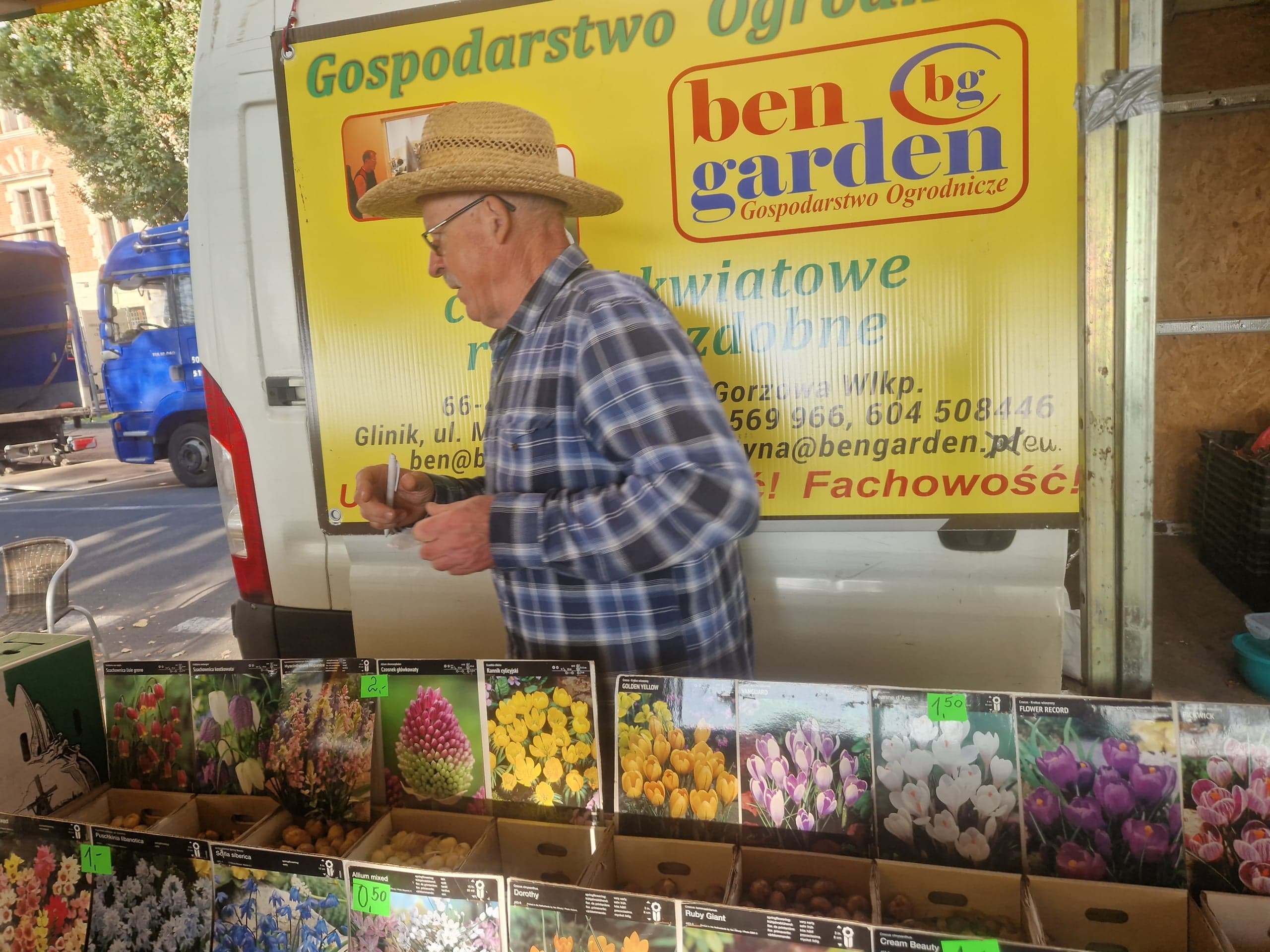 MiŚ – Mimoza wstydliwa i Świnster – 01.10.2024 r.