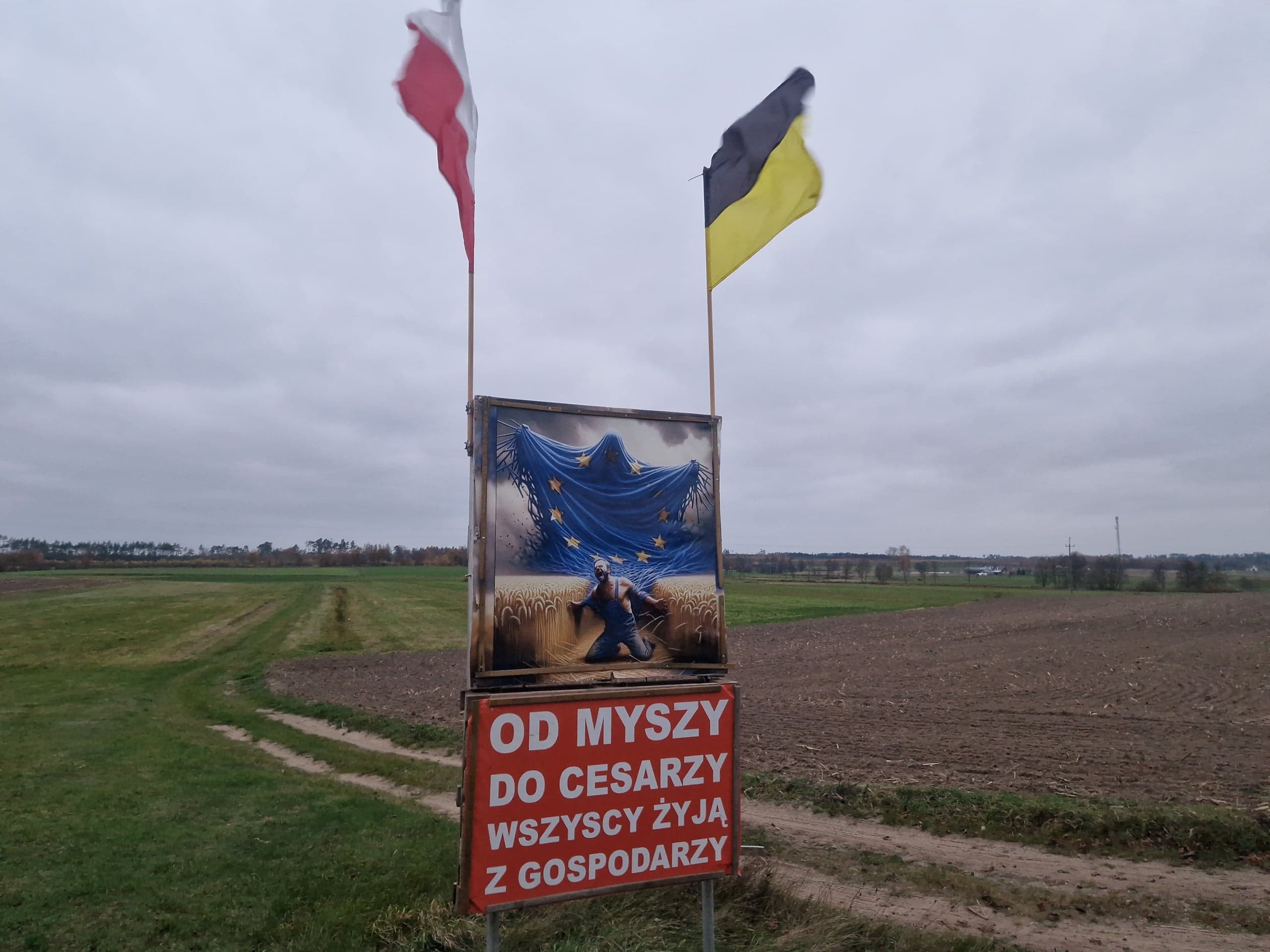 MiŚ – mix energetyczny i sabotaż klimatyczny – 12.11.2024 r.