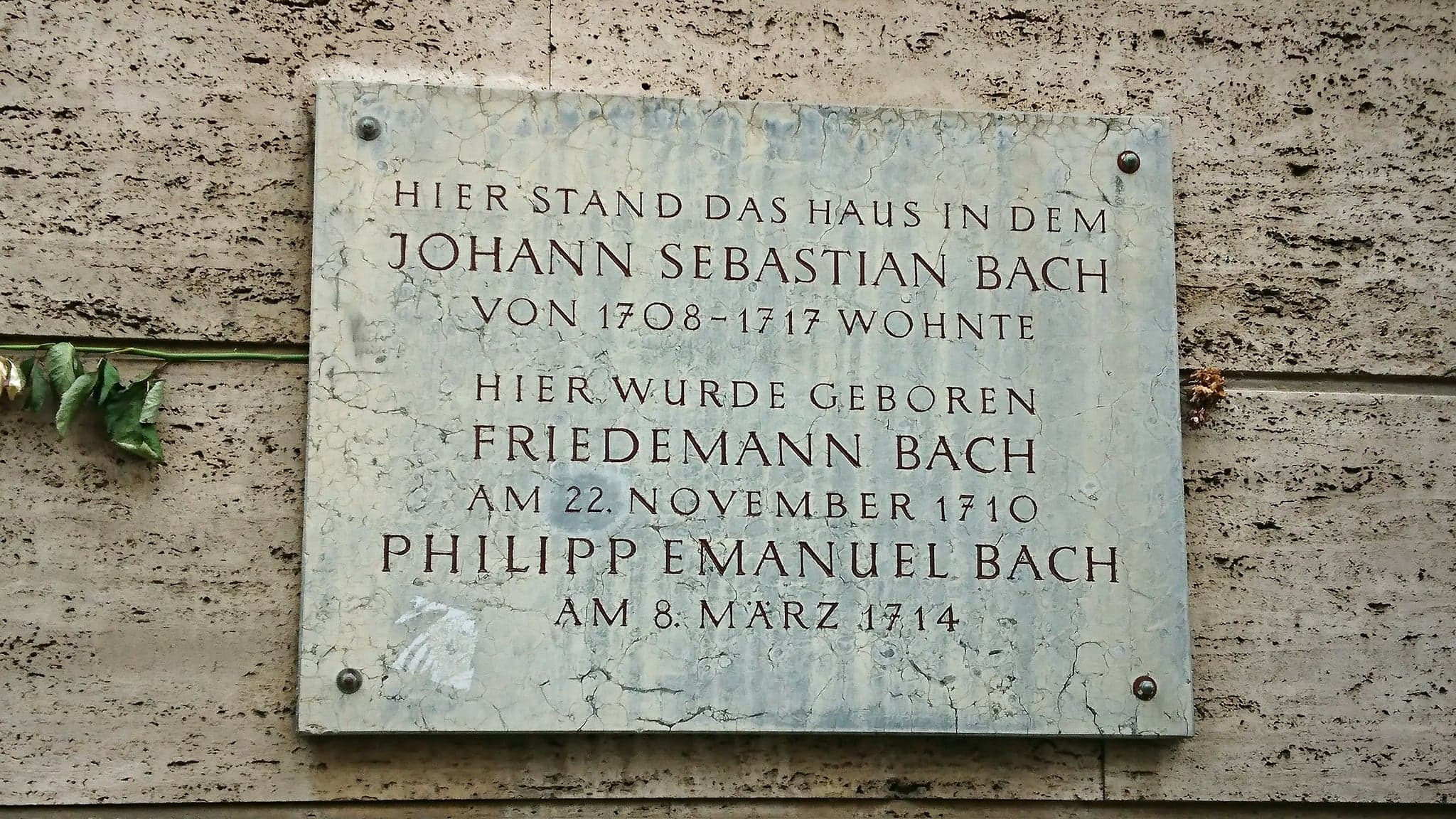 No to Bach, między tłumaczeniem i interpretacją – Cała Naprzód – 13.01.2025 r.