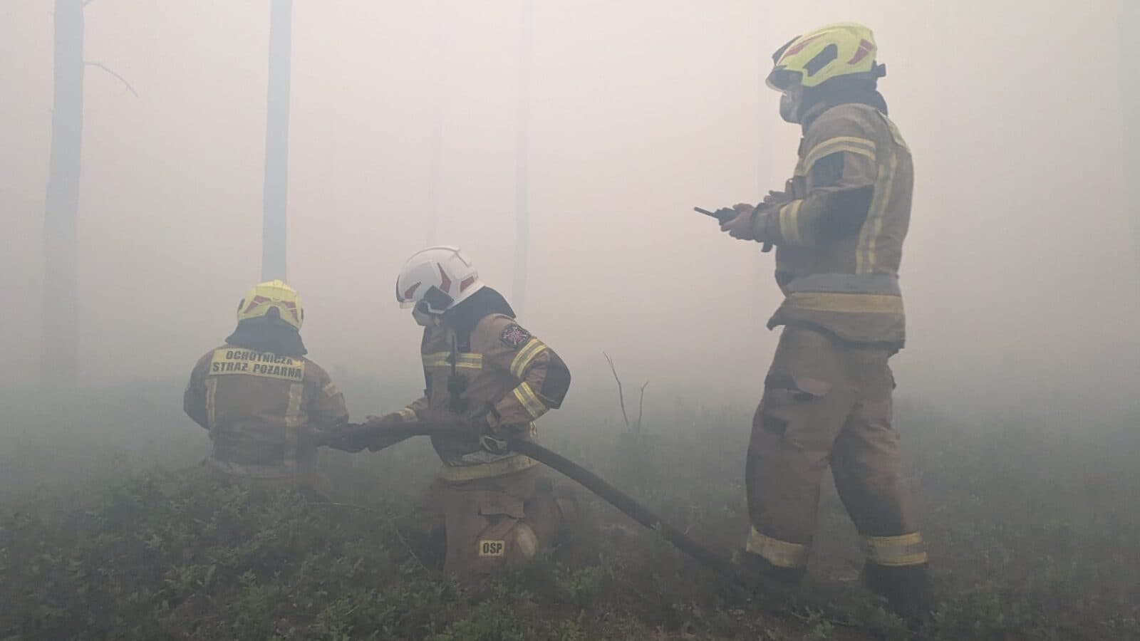 Setki strażaków, wojsko i samoloty gaśnicze. Trwa walka z pożarem pod Warszawą