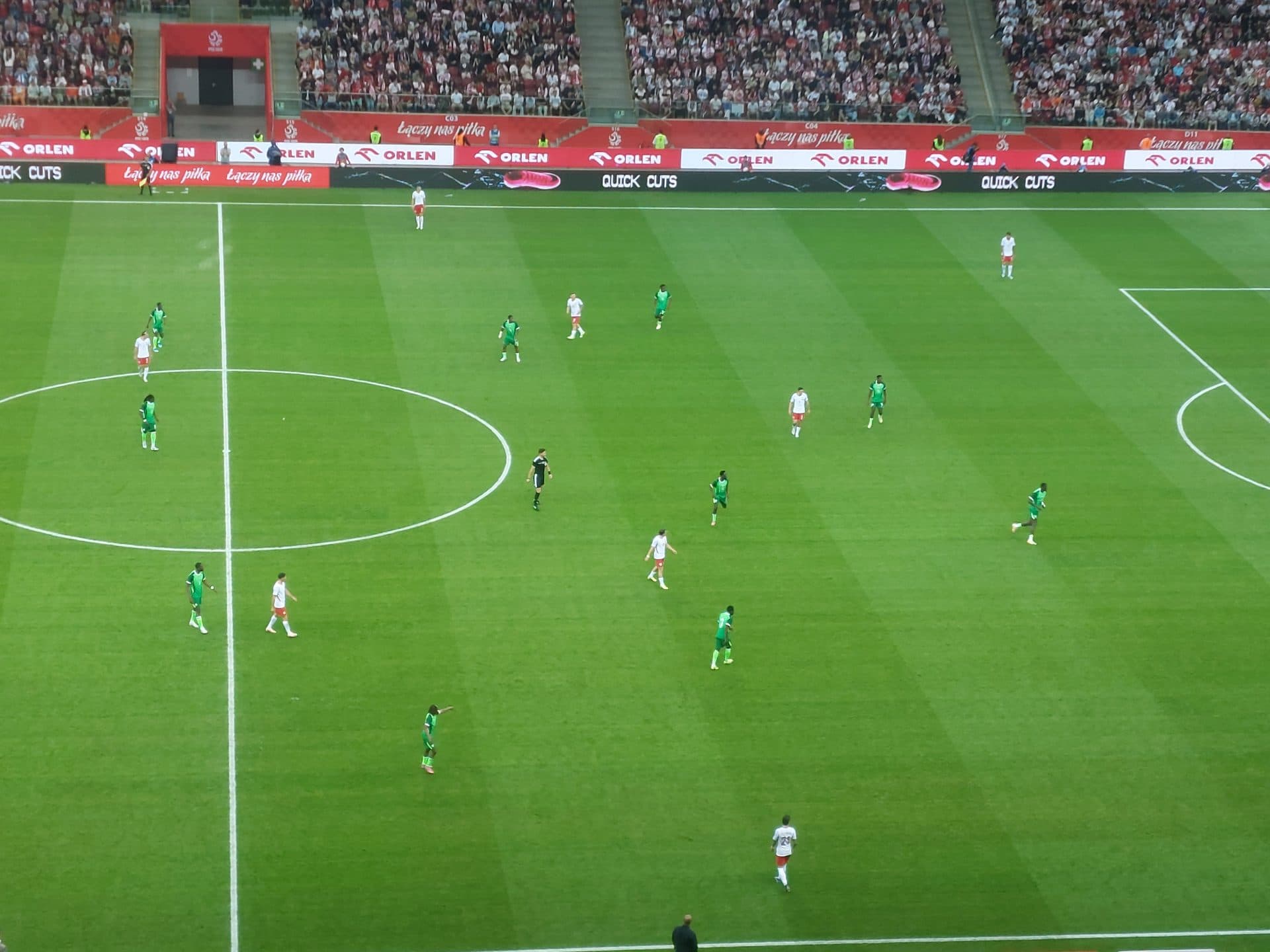 Polska–Nigeria 2:2. Ekspert negatywnie ocenia grę Biało-Czerwonych. „Macie dużo pracy”