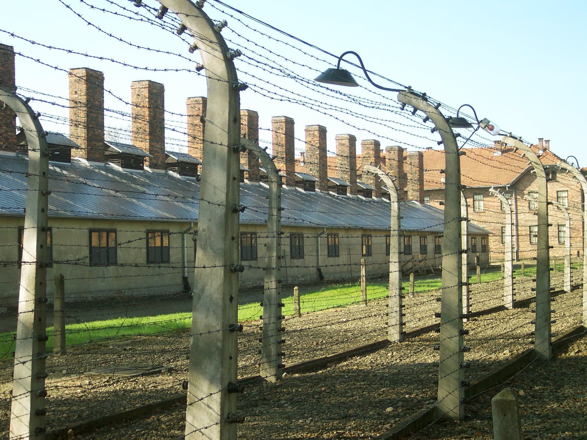 Napluli nam w twarz i publicznie upokorzyli – Krzysztof Wyszkowski o przemówieniu ambasador Izraela w Auschwitz