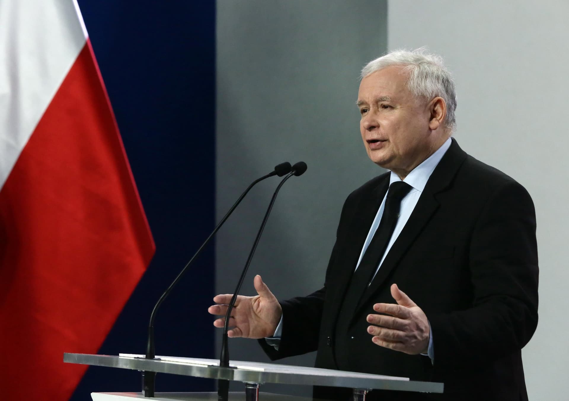 Jarosław Kaczyński: Ustawa o wycince drzew zostanie skorygowana. Będziemy starali się o ustawową poprawę losu zwierząt