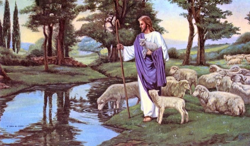 Powiedział do nich Jezus: Ja jestem bramą owiec. Wszyscy, którzy przyszli przede Mną, są złodziejami i rozbójnikami