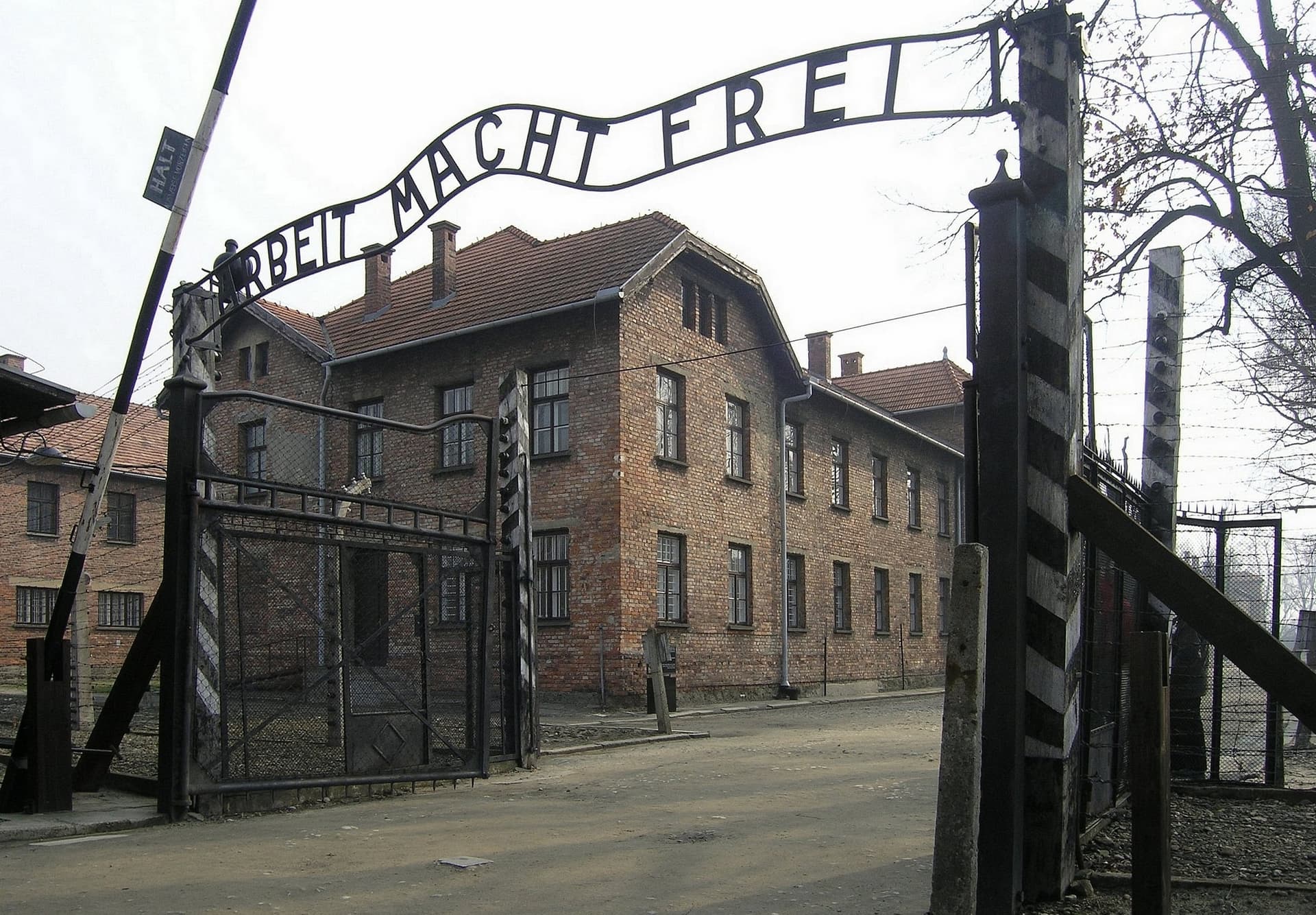 Reżyserka „Położnej”: Leszczyńska zdawała raporty dr. Mengele. Nie podporządkowała się nakazowi zabijania dzieci