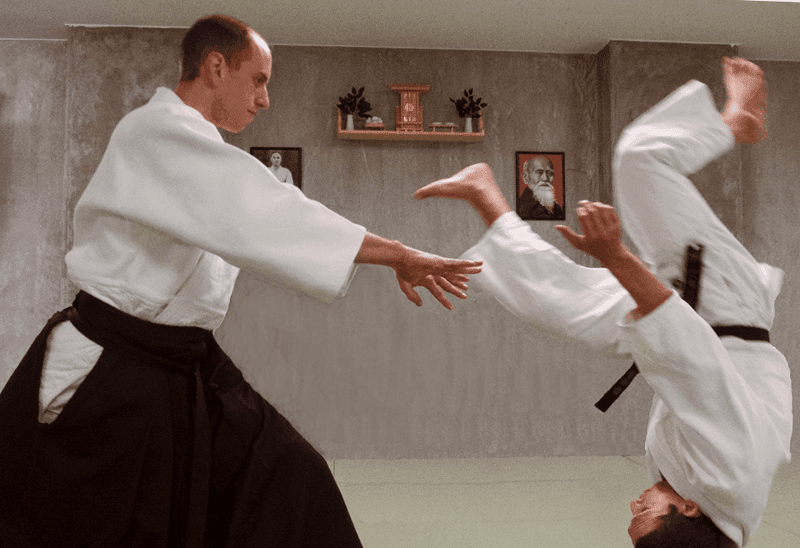 Piotr Nowakowski: w aikido najważniejsza jest idea pokoju i harmonii