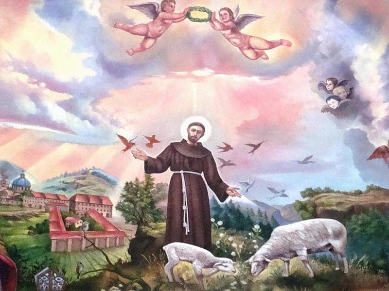 Biennale w Warszawie i Giotto w Asyżu – Tygodniowy Kalejdoskop Kulturalny – 24.06.2023 r.