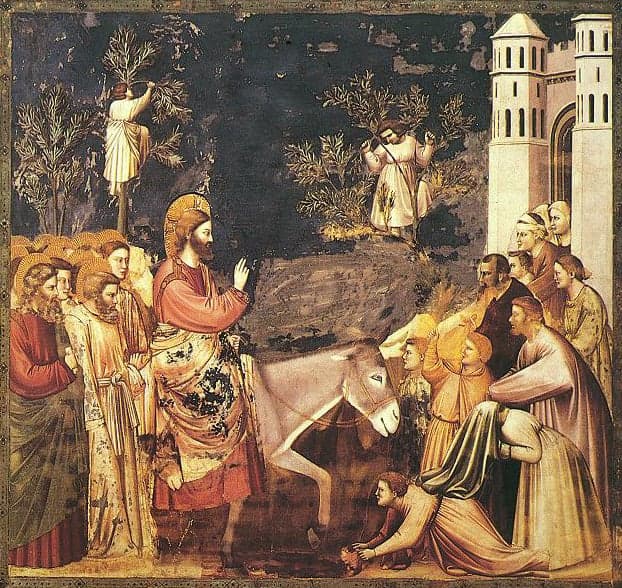 Niedziela Palmowa u Krzyżowców i Tadeo zwany Polacco – Tygodniowy Kalejdoskop Kulturalny – 23.03.2023 r.