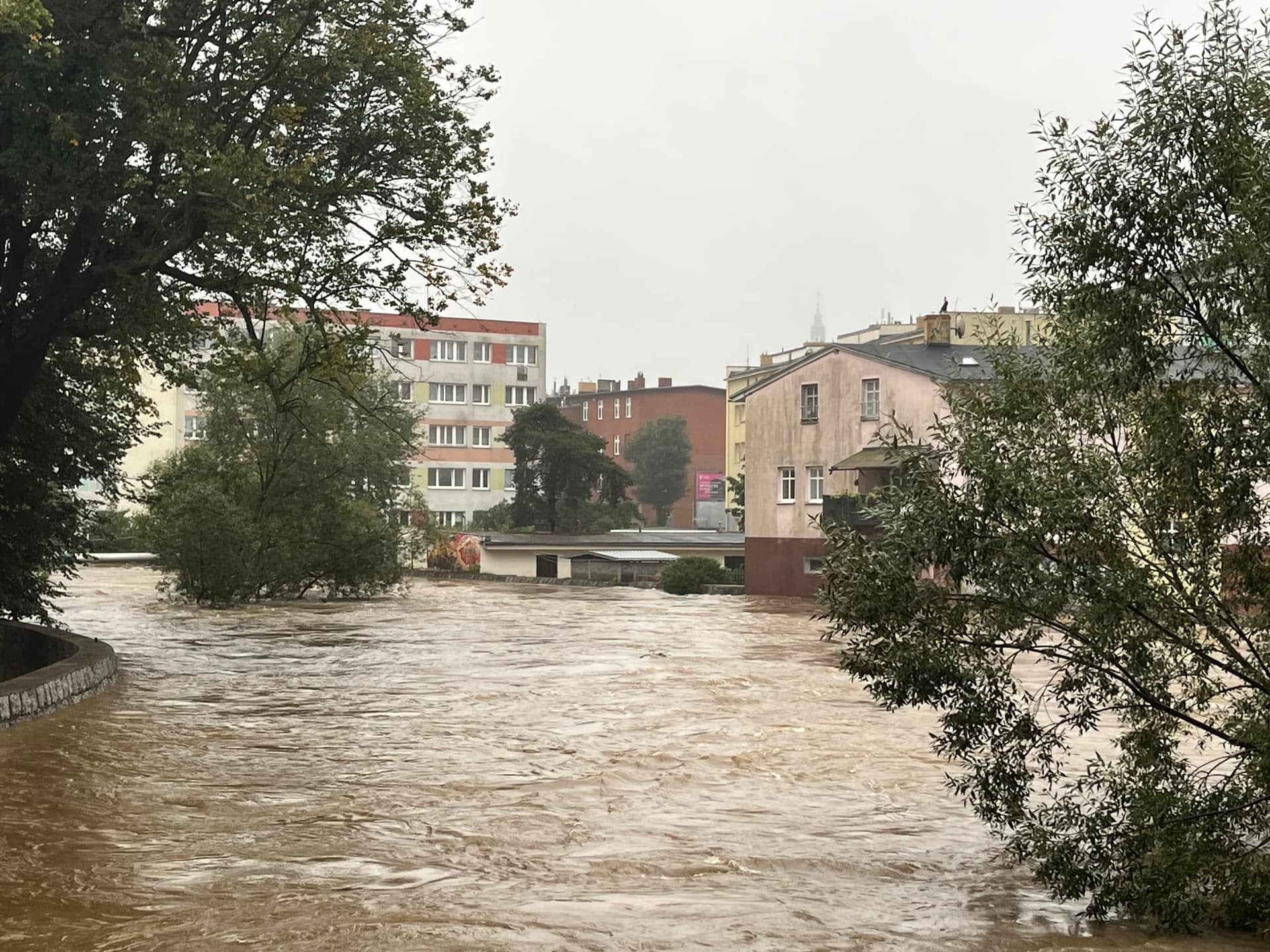 Mieszkaniec Trzebieszowic: boję się zaglądać do swojego domu