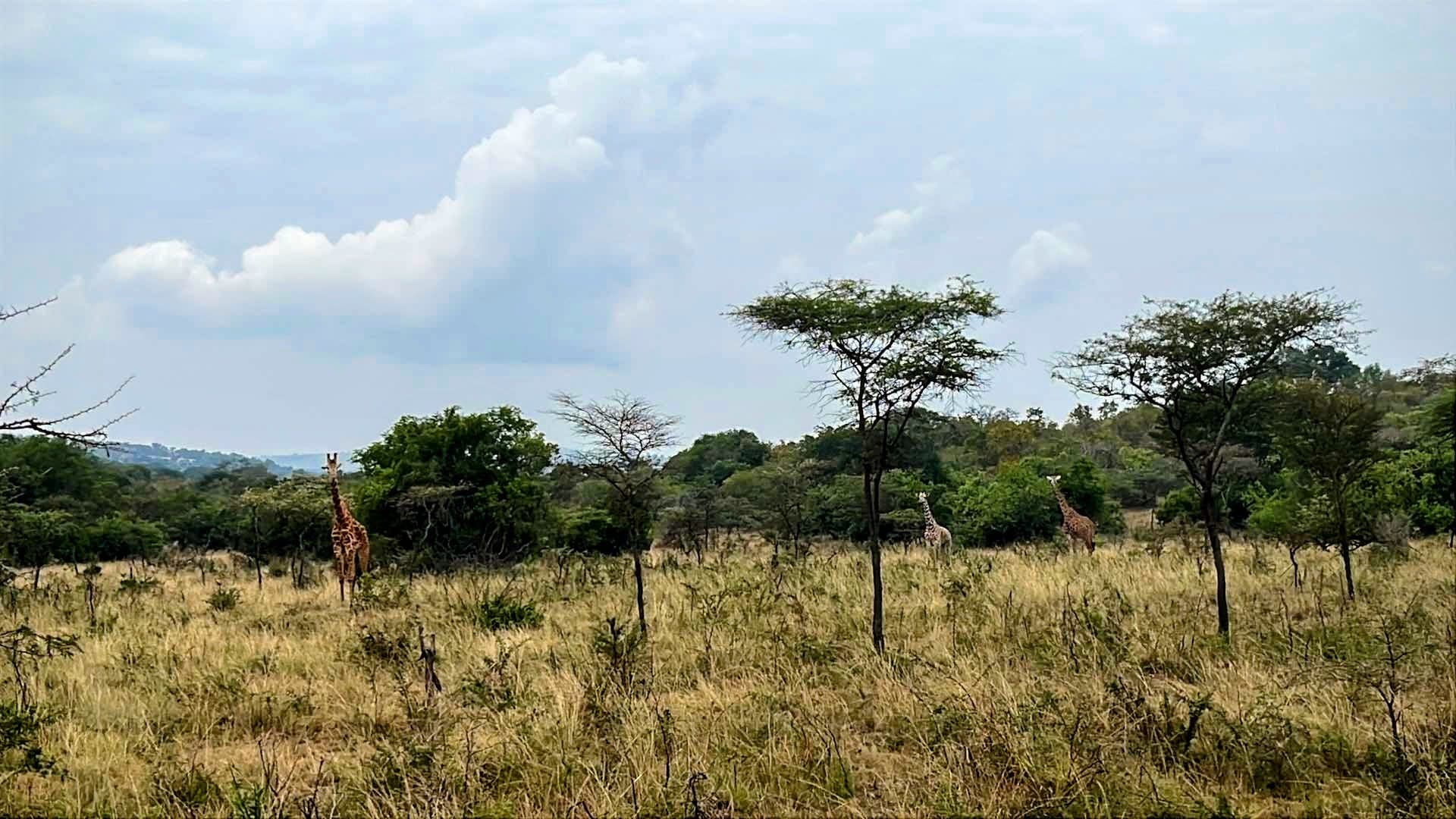 Wnet Dookoła Świata: Rwanda i objawienia Maryi w Kibeho