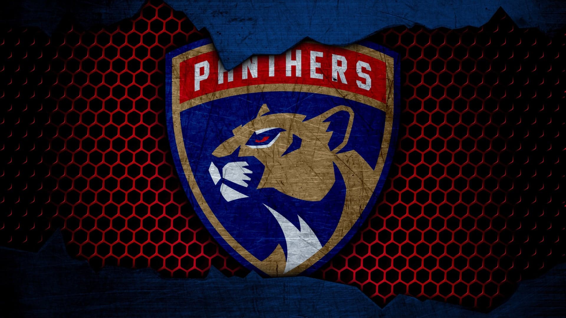 Florida Panthers drugi rok z rzędu z Pucharem Stanleya. Gabriel Samolej: obrona tytułu to zawsze wielki wyczyn