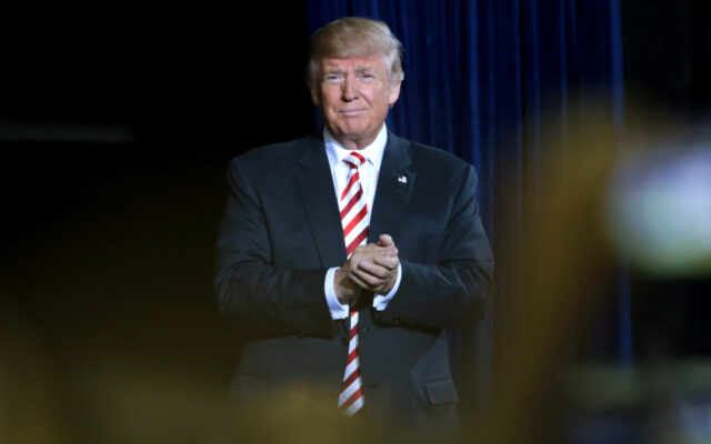 Donald Trump / Fot. Gage Skidmore, Flickr.com