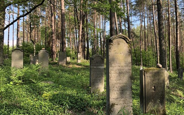 Stary cmentarz żydowski w Bierutowie/Fot. Wikimedia commons