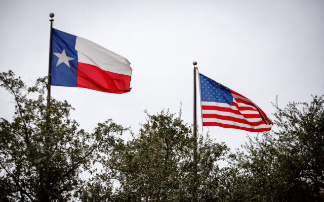 Flagi Teksasu i USA / Fot. Sebastian Indra, Ministerstwo Spraw Zagranicznych, Flickr