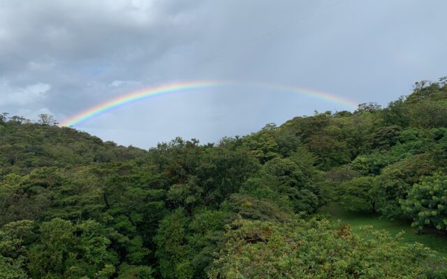 Monteverde, Puntarenas
